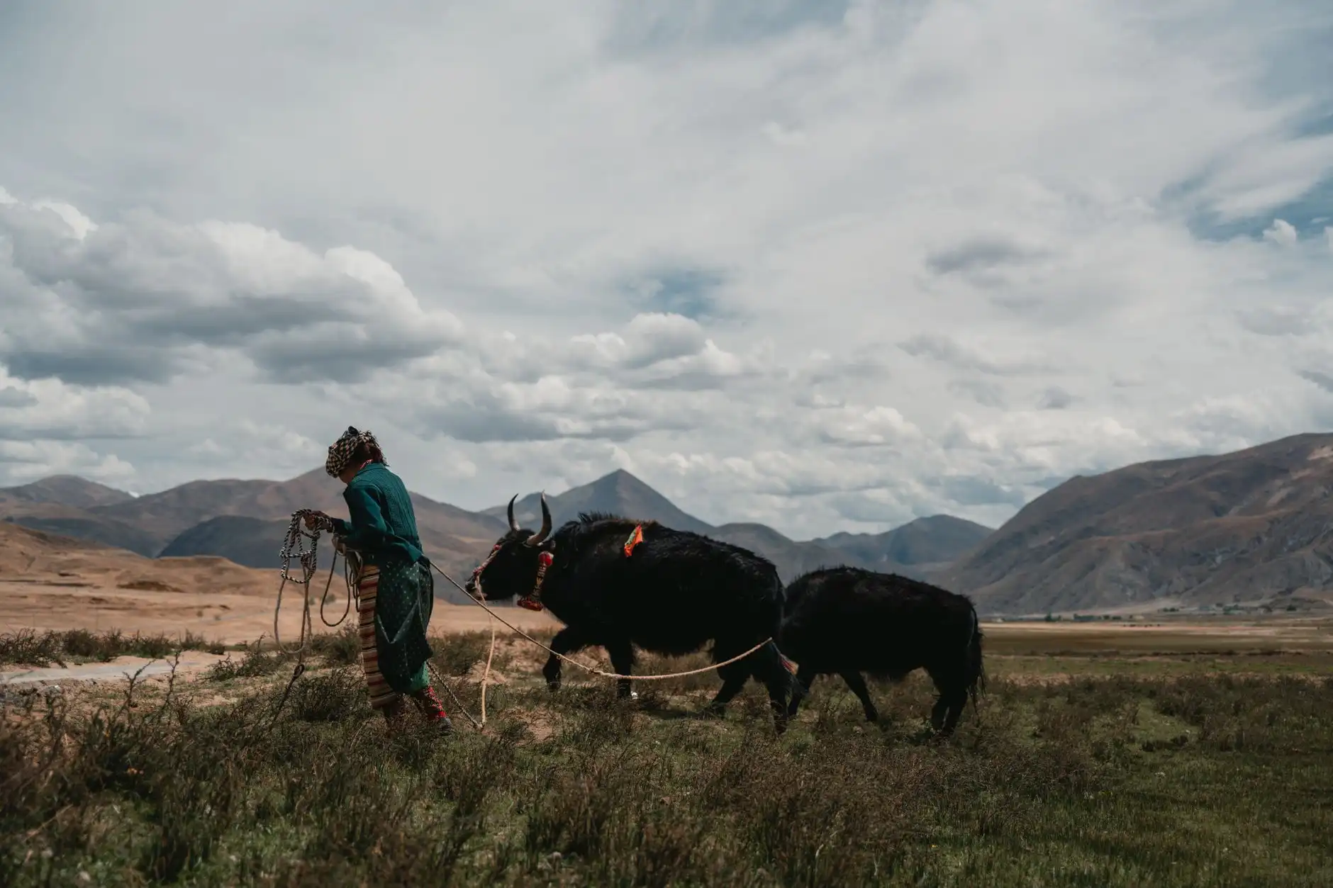 2024年火锅连锁加盟投资指南：如何选择标准化运营方案