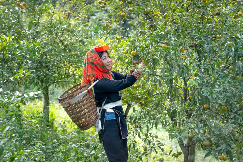 重庆火锅锅底料风味对比：三款热销型号选型指南