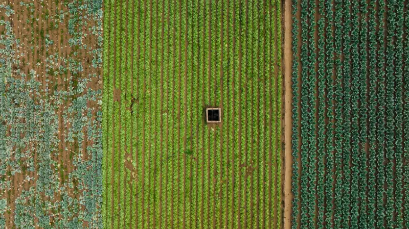 2024年火锅底料选购指南：如何选择适合连锁加盟店的地道重庆风味产品