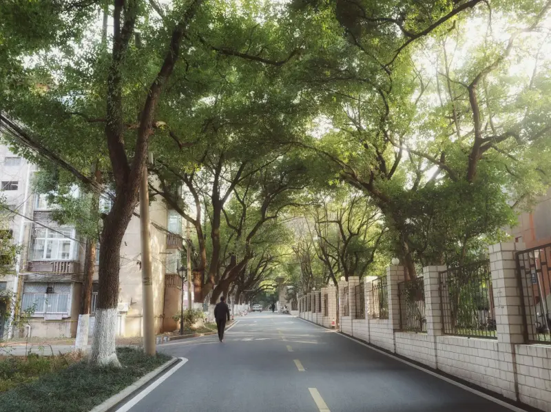 连锁火锅加盟店选址指南：基于标准化运营体系的实操方案